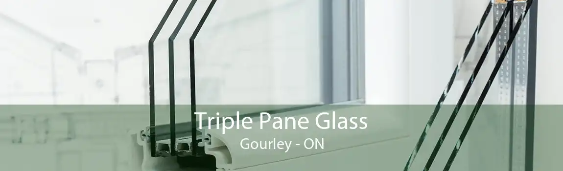 Triple Pane Glass Gourley - ON