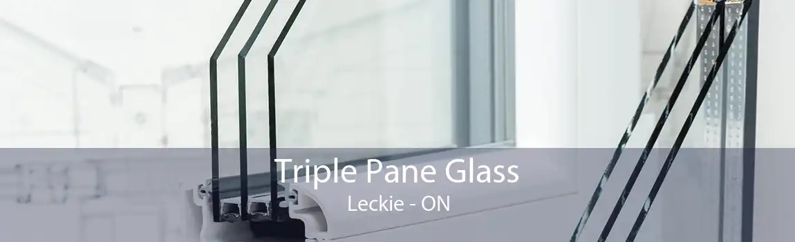 Triple Pane Glass Leckie - ON