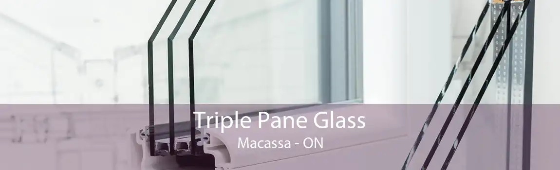 Triple Pane Glass Macassa - ON