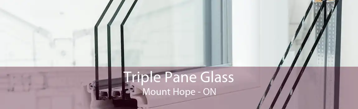 Triple Pane Glass Mount Hope - ON