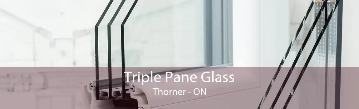 Triple Pane Glass Thorner - ON