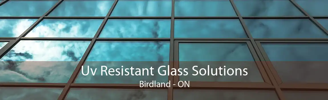 Uv Resistant Glass Solutions Birdland - ON