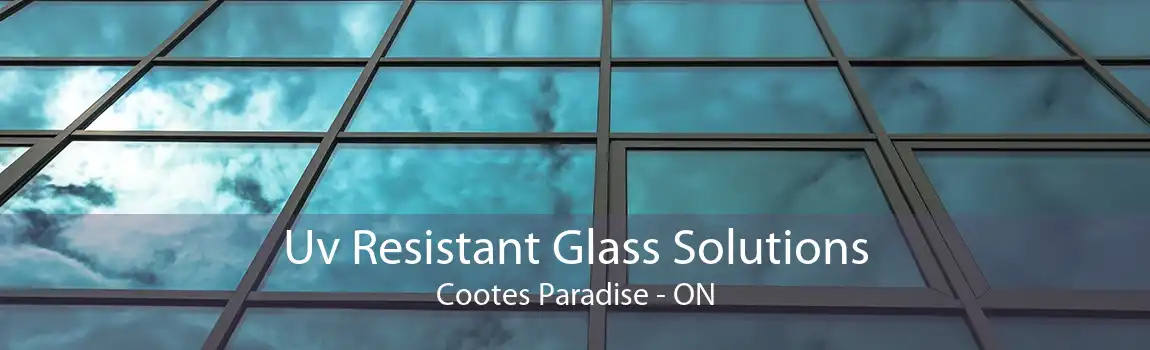 Uv Resistant Glass Solutions Cootes Paradise - ON