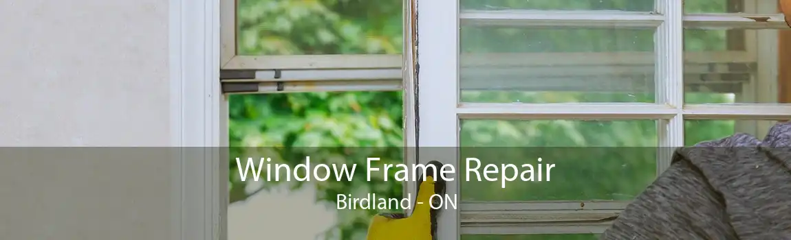 Window Frame Repair Birdland - ON