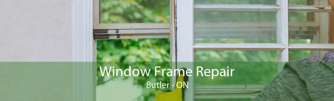 Window Frame Repair Butler - ON