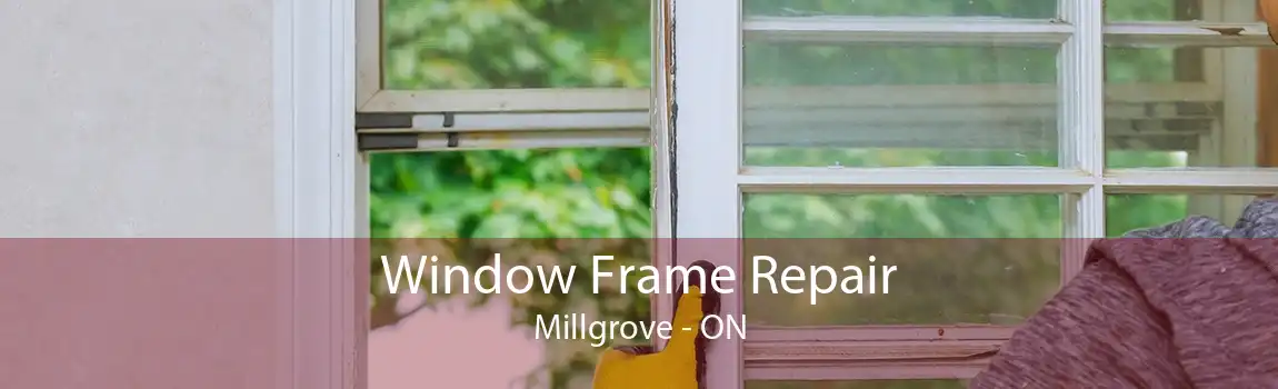 Window Frame Repair Millgrove - ON