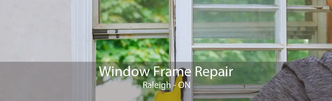 Window Frame Repair Raleigh - ON