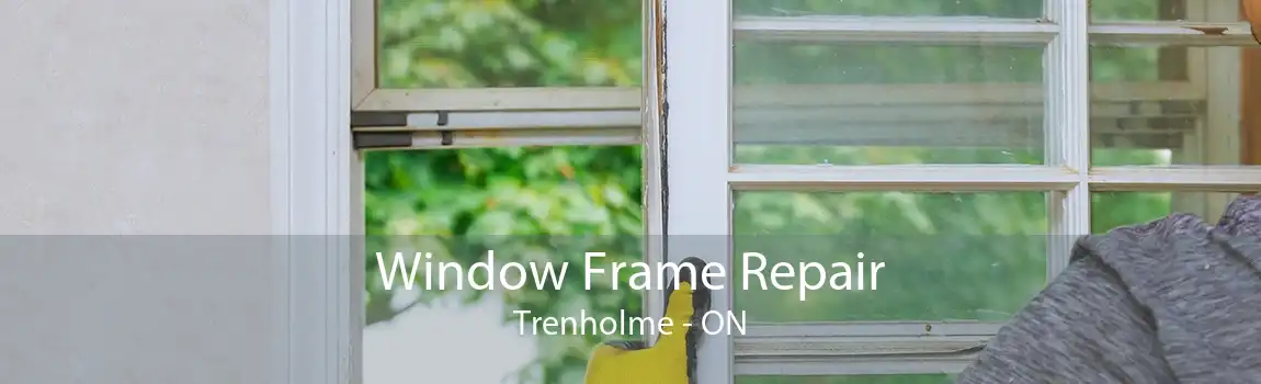 Window Frame Repair Trenholme - ON