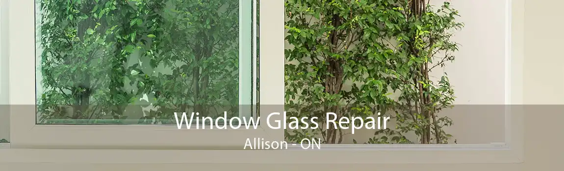 Window Glass Repair Allison - ON