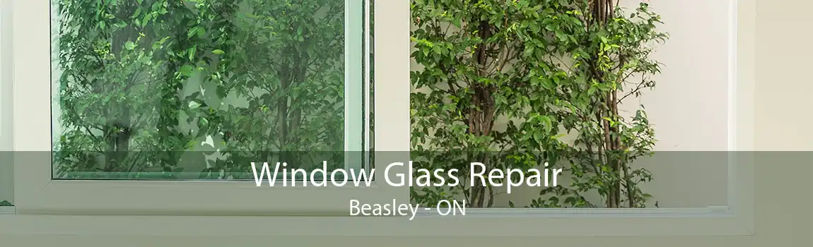 Window Glass Repair Beasley - ON