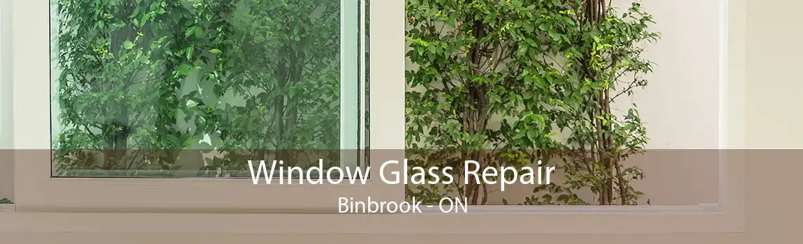 Window Glass Repair Binbrook - ON