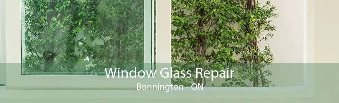 Window Glass Repair Bonnington - ON