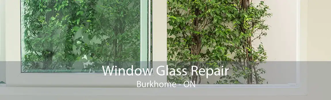 Window Glass Repair Burkhome - ON