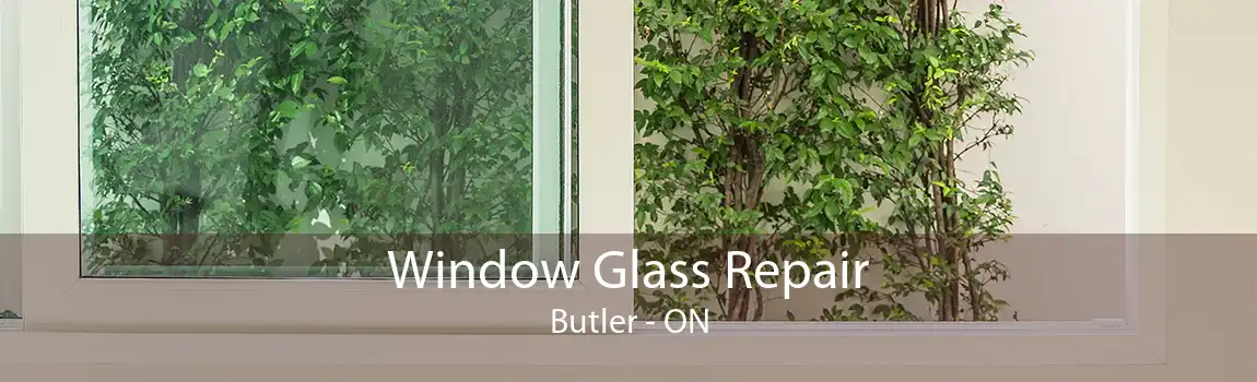 Window Glass Repair Butler - ON