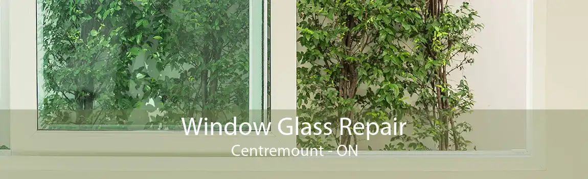 Window Glass Repair Centremount - ON
