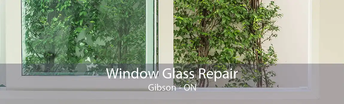 Window Glass Repair Gibson - ON