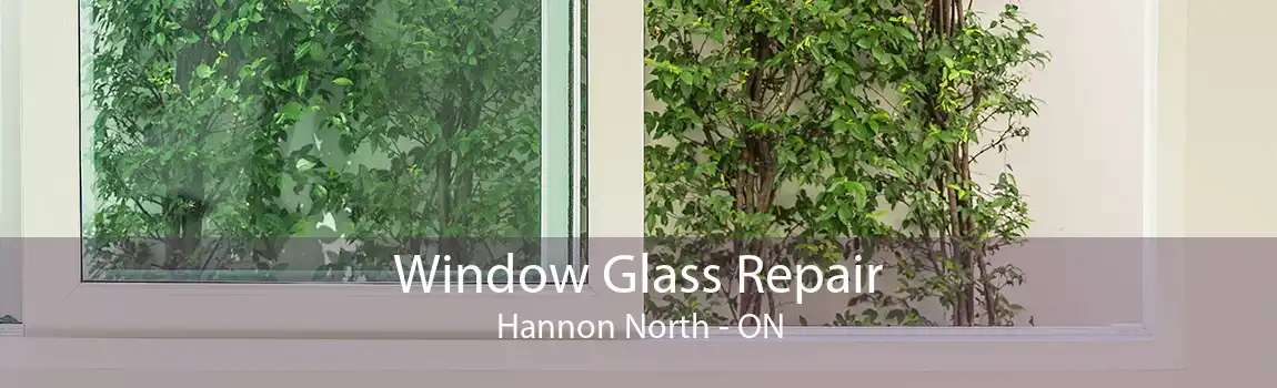 Window Glass Repair Hannon North - ON