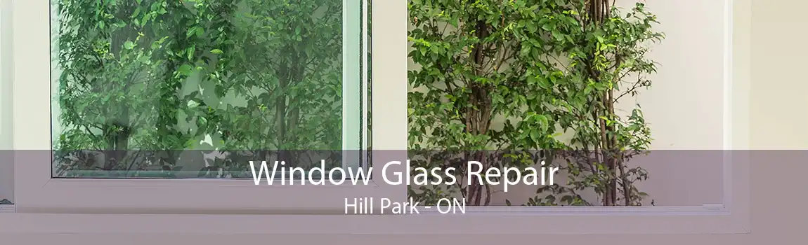 Window Glass Repair Hill Park - ON