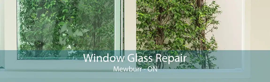 Window Glass Repair Mewburr - ON