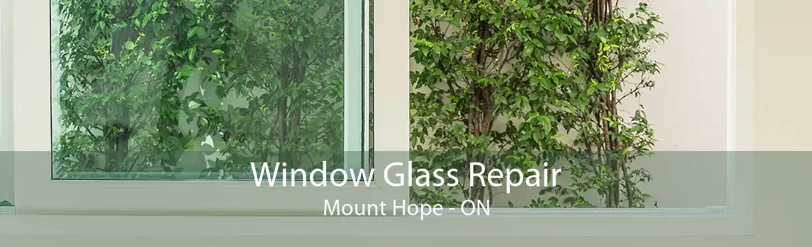 Window Glass Repair Mount Hope - ON