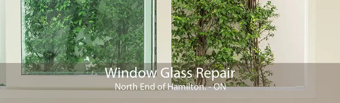 Window Glass Repair North End of Hamilton. - ON