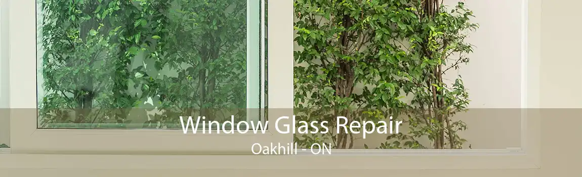 Window Glass Repair Oakhill - ON
