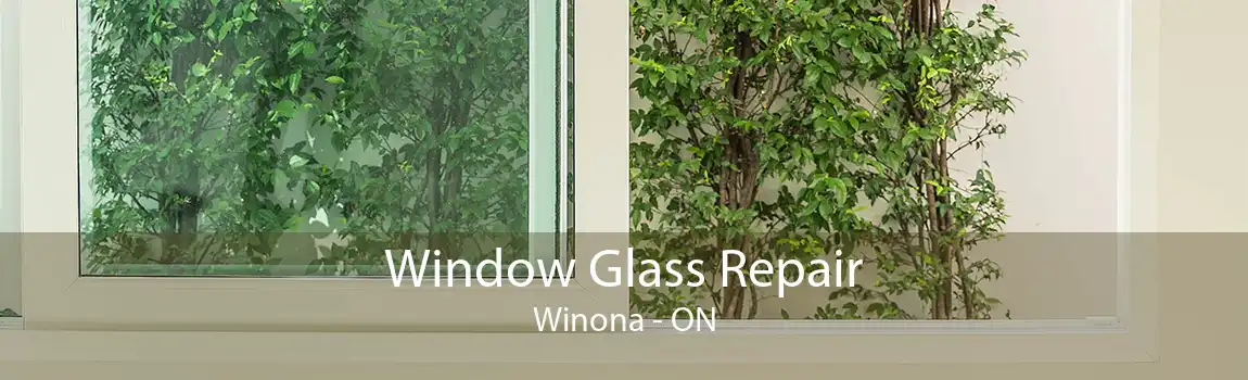 Window Glass Repair Winona - ON