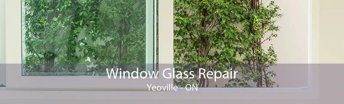 Window Glass Repair Yeoville - ON