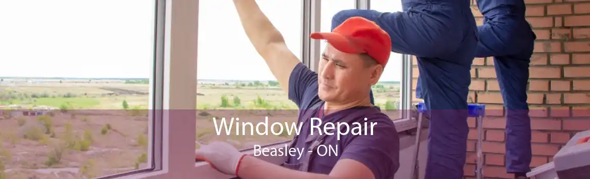 Window Repair Beasley - ON