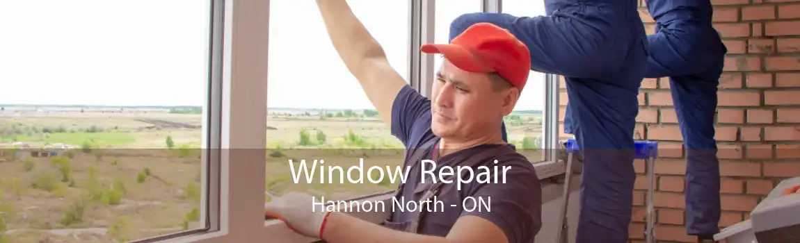 Window Repair Hannon North - ON