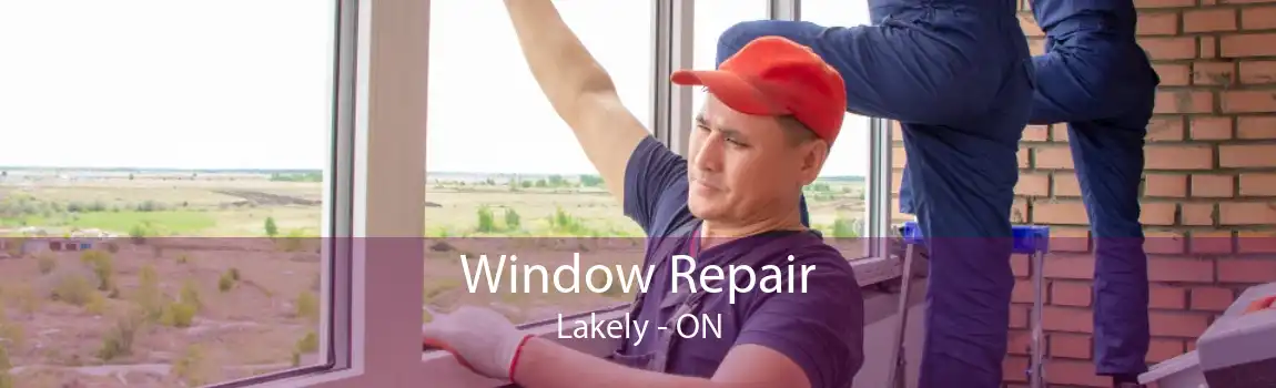 Window Repair Lakely - ON