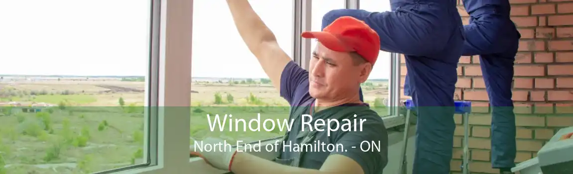 Window Repair North End of Hamilton. - ON