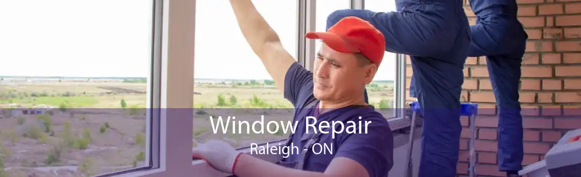 Window Repair Raleigh - ON