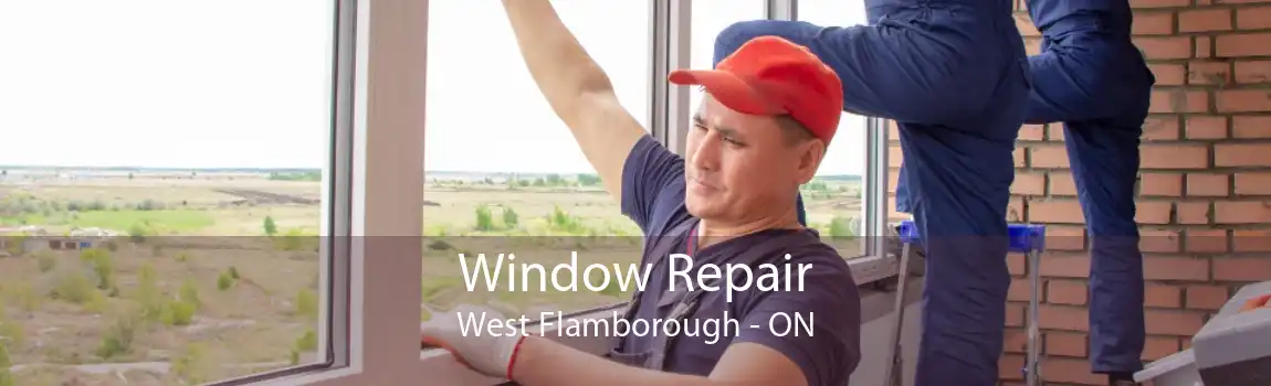 Window Repair West Flamborough - ON