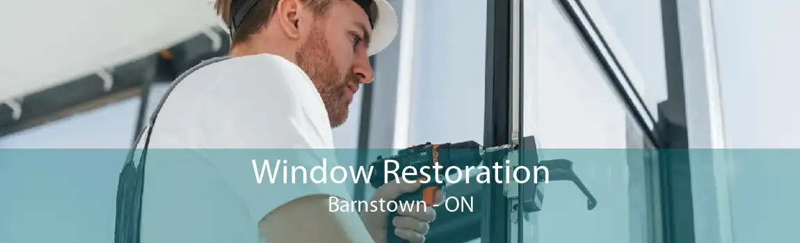 Window Restoration Barnstown - ON