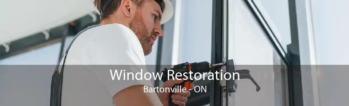 Window Restoration Bartonville - ON