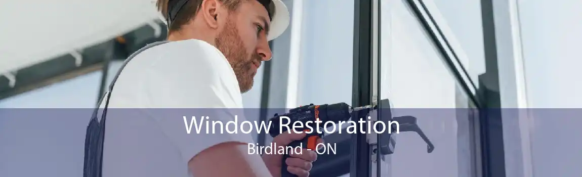 Window Restoration Birdland - ON