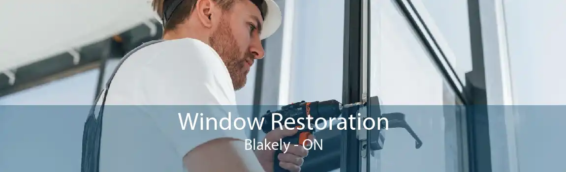 Window Restoration Blakely - ON