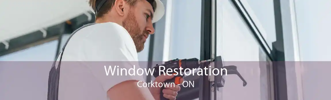 Window Restoration Corktown - ON