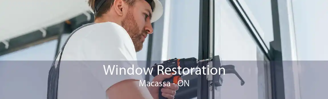 Window Restoration Macassa - ON