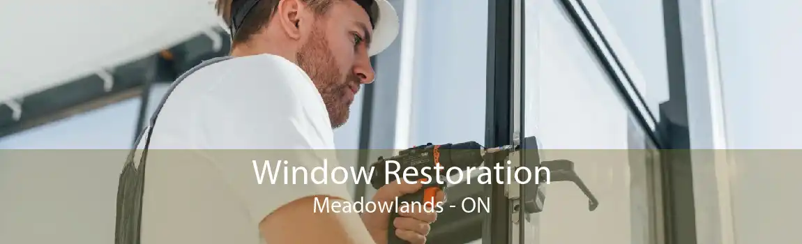 Window Restoration Meadowlands - ON