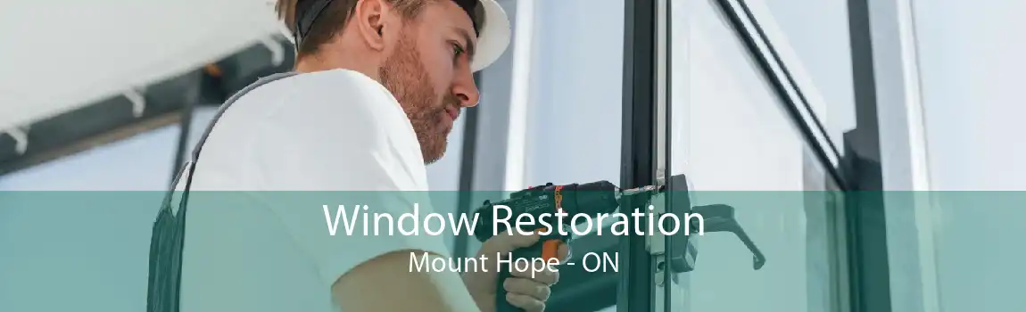 Window Restoration Mount Hope - ON