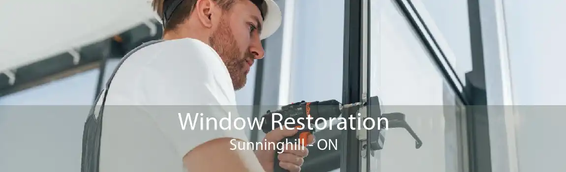 Window Restoration Sunninghill - ON