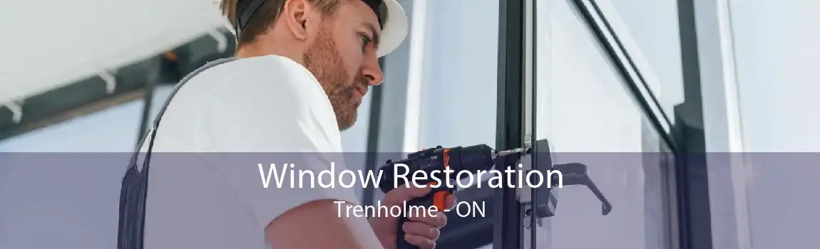 Window Restoration Trenholme - ON
