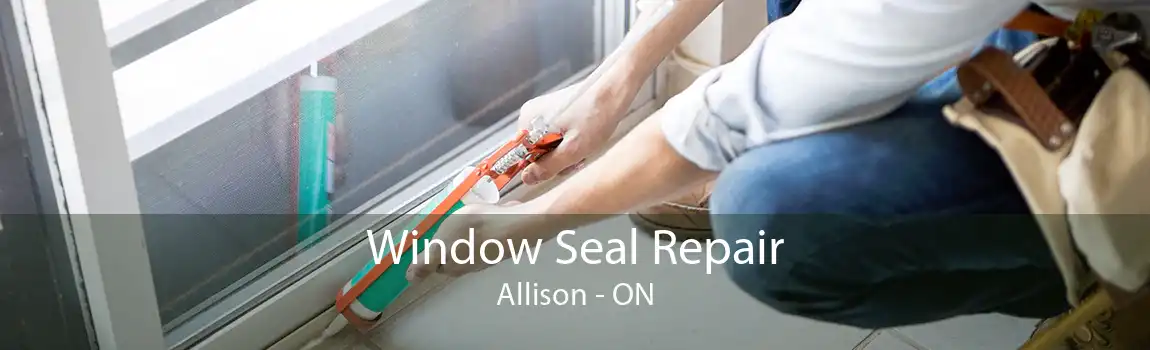 Window Seal Repair Allison - ON