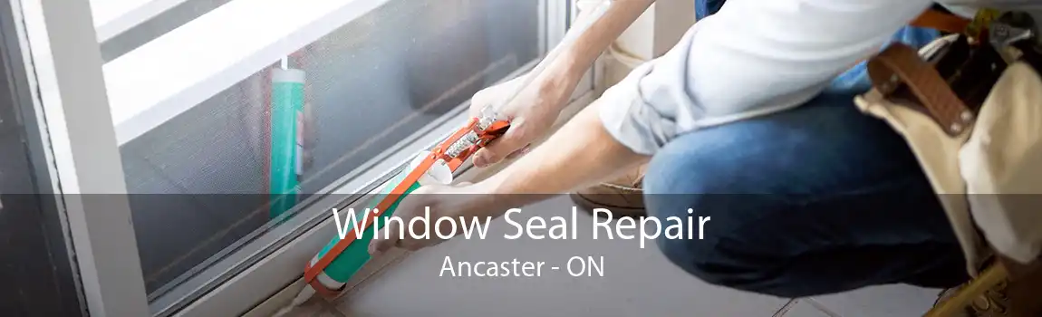 Window Seal Repair Ancaster - ON