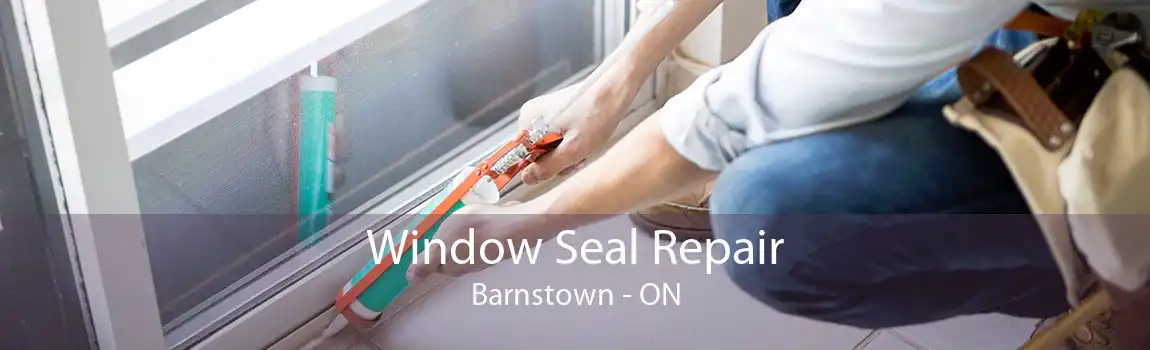 Window Seal Repair Barnstown - ON