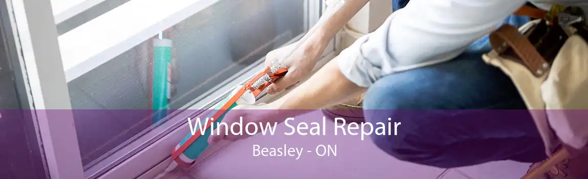 Window Seal Repair Beasley - ON
