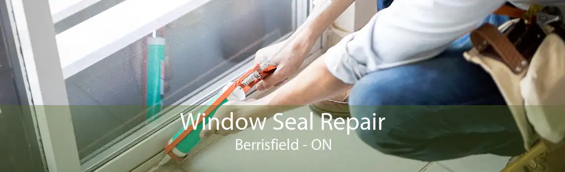 Window Seal Repair Berrisfield - ON