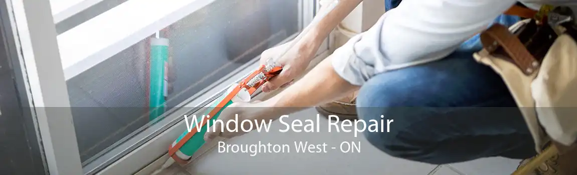 Window Seal Repair Broughton West - ON